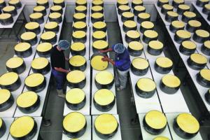 Изготовление сыра в домашних условиях – весь технологический процесс